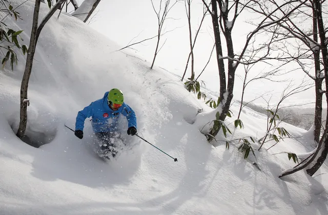 Explore Niseko & the Local Wine bar