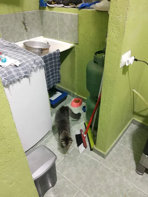 Bvgon Eventos Comércio Parques Diversões