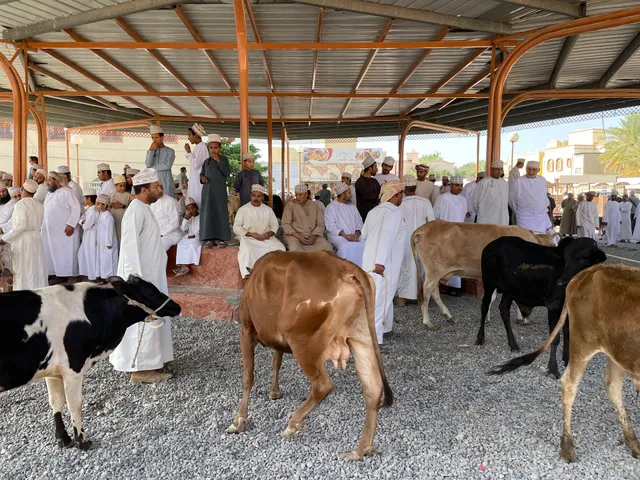 Nizwa sheep market
