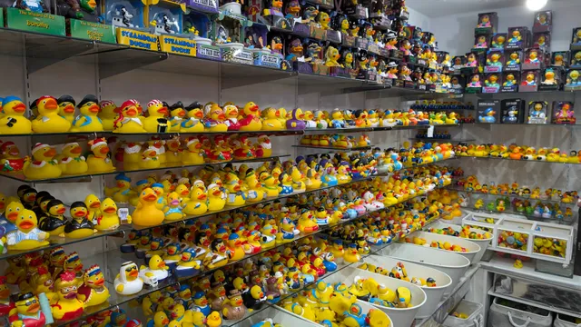 The Tipsy Duck Parlor