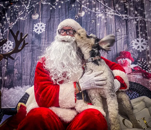 Spirit Ranch Dog Training, Inc