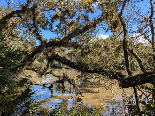 Halpatiokee MTB Trail
