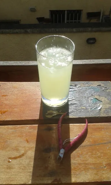 Pizzaria e Lanches Paladar