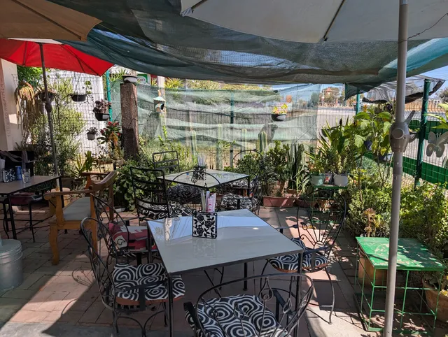 Orquídea Pathai Express