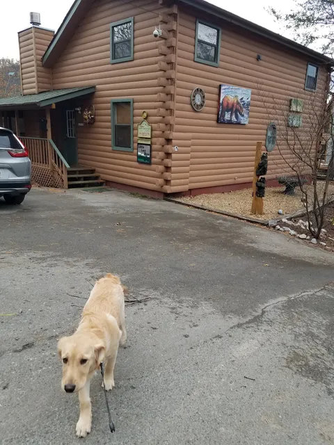 Little Lost Bear Cabin