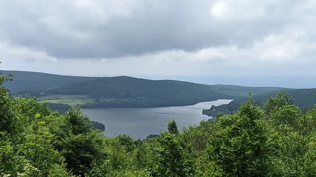 Forbes State Forest - Mount Davis Natural Area