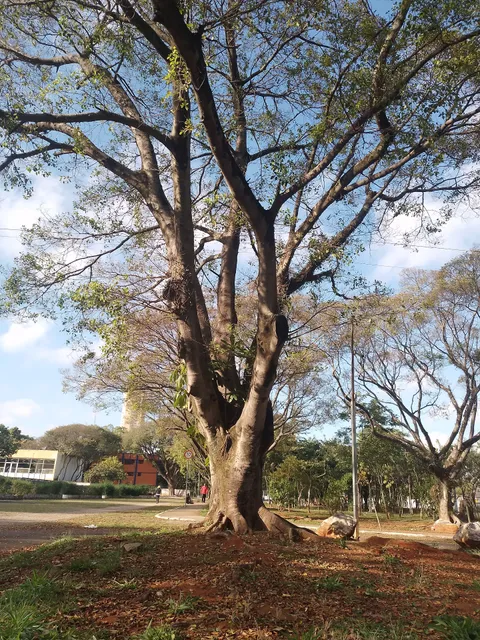 Parque da Mooca