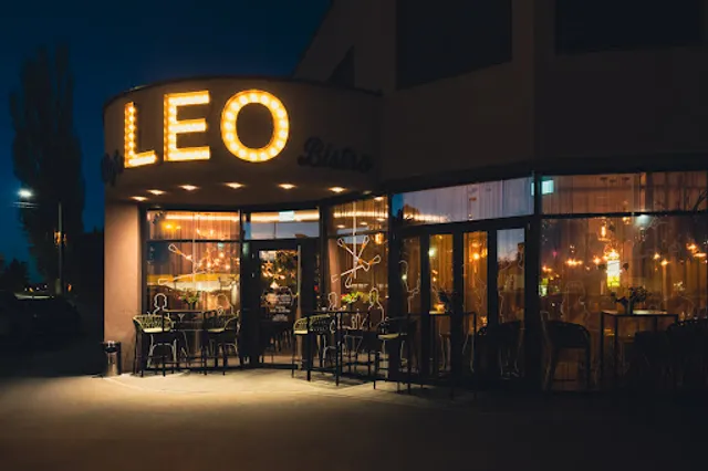 Leo - Essen | Trinken | Schlafen | Tanzen