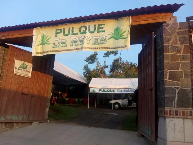 Pulque De Reyes
