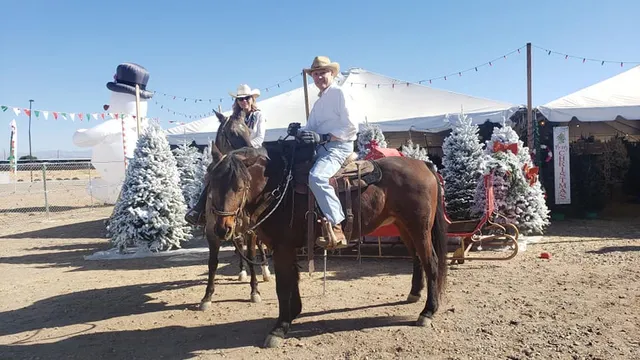 Valley View Christmas Trees