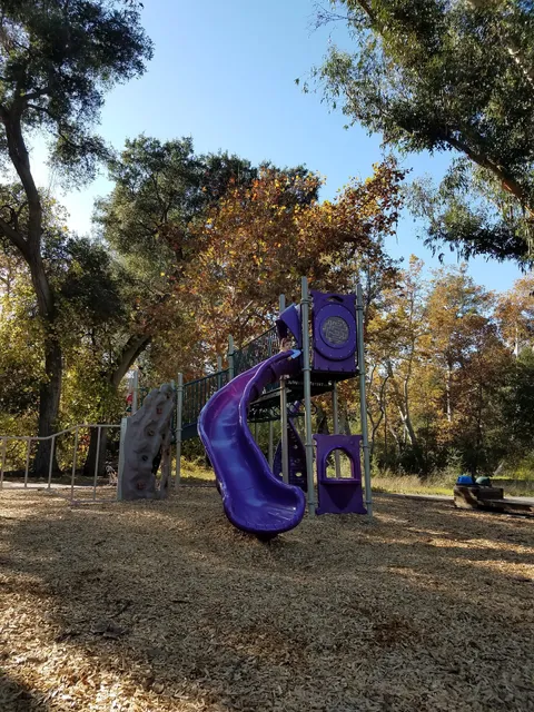 Blackberry Farm Recreation and Pool