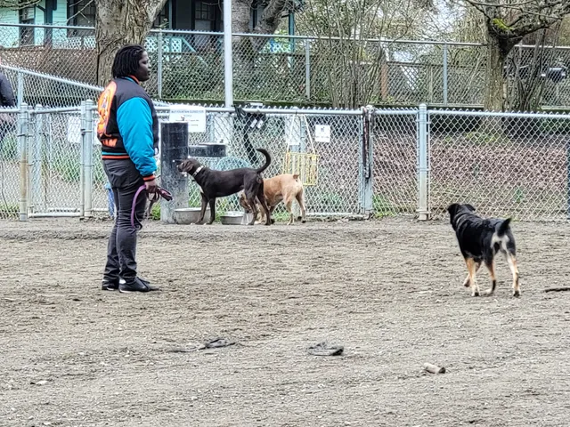 Burien Off Leash Dog Park