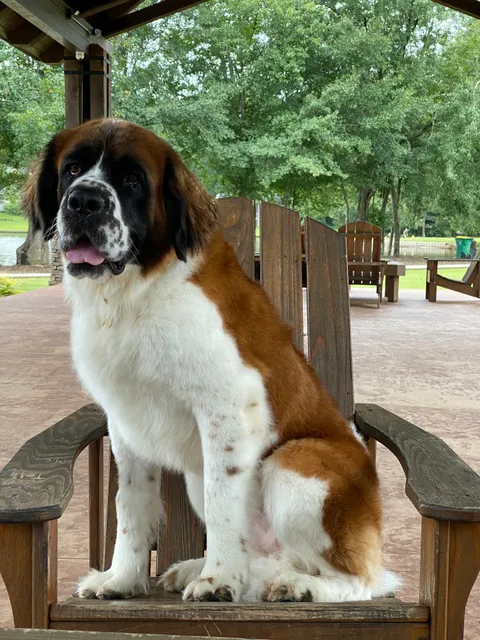 Fayette Humane Society