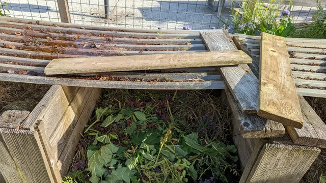 Greenwood Station P-Patch Community Gardens