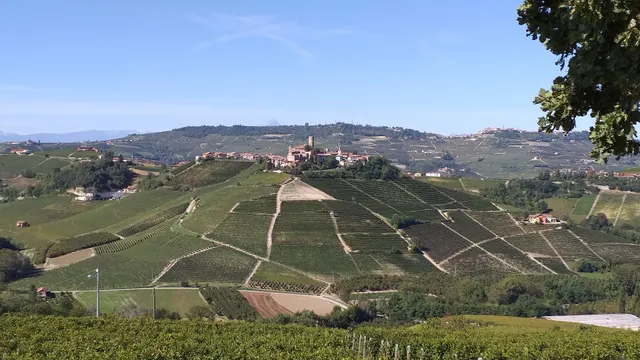 La Vigna del Parroco-2-