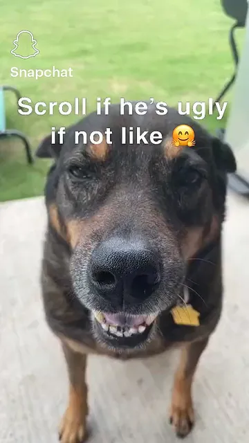 Gastineau Hardware & Lumber Co.