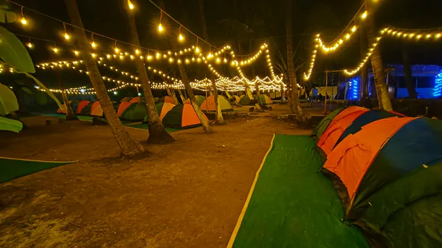 Alibaug Beach Camping | Camping in alibaug | Tent by the bay