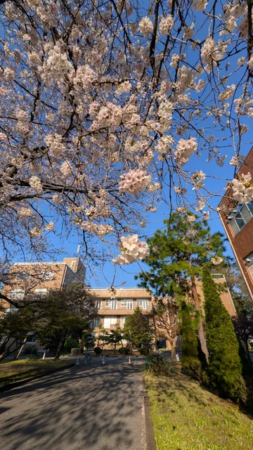 Utsunomiya University