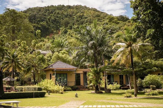 The Mangrove by Blu Monkey