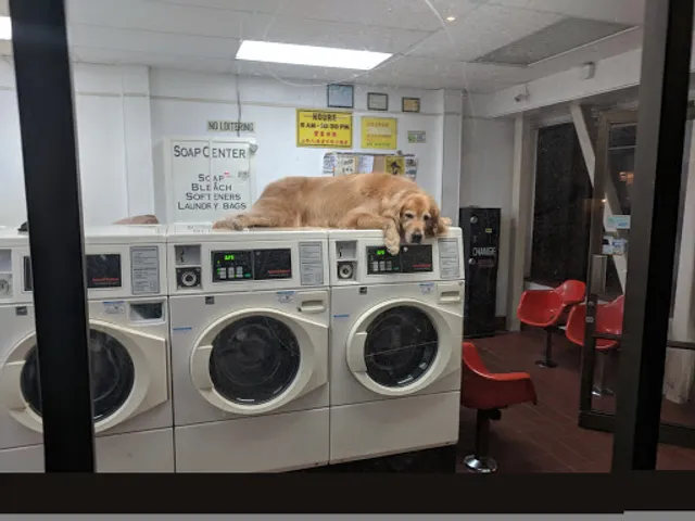 Larkin Street Laundromat