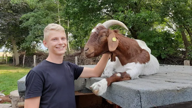 Urlaub auf dem Tjarkshof