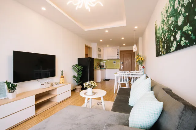 Da Nang Daisy Apartment