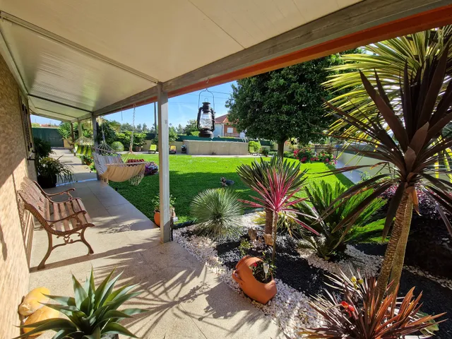 Casa flor da laranjeira