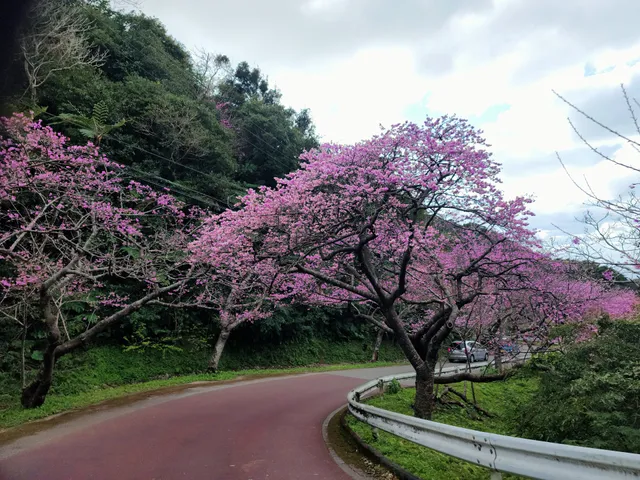 Yaedake Sakuranomori Park
