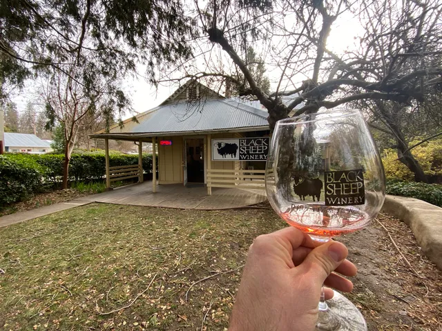 Black Sheep Winery