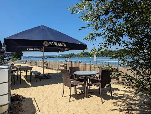 Ingelheimer Sommergarten