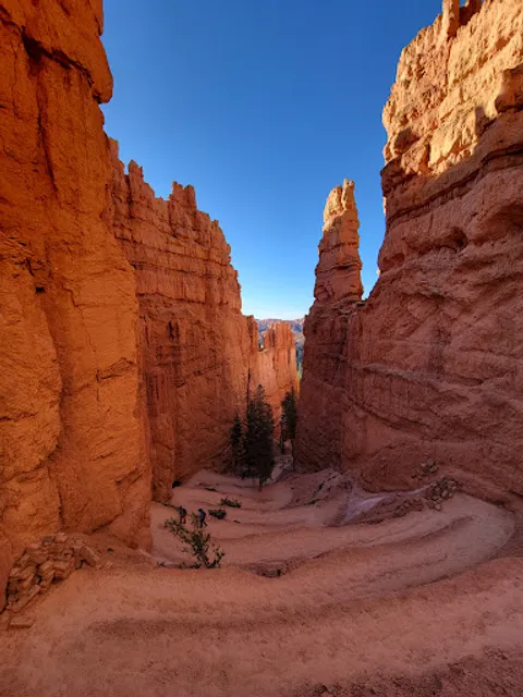 Navajo Loop Switchback