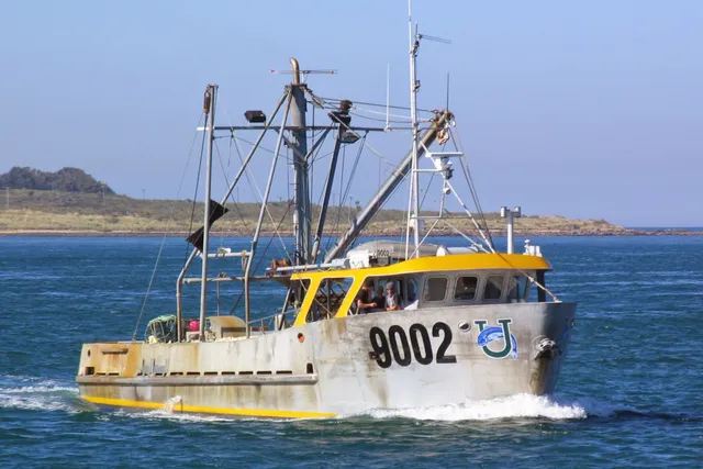 Barnes Wild Bluff Oysters