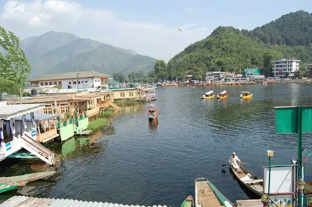 Hotel New Green View Srinagar (Ghulam)