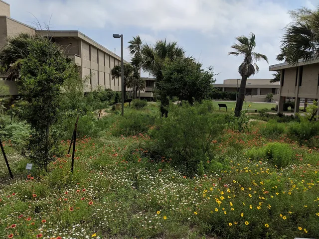University of Texas, Marine Science Institute