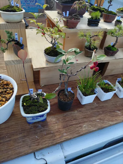 「川の停車場」【第3土曜日】産直軽トラ市＆フリーマーケット