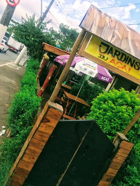 Brazilian Acai Fruit