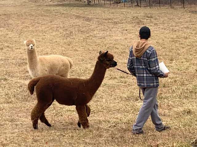 Pequest Cut-Off Farm LLC