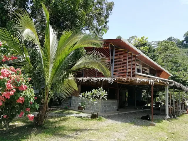 Orgánico Punta Riel