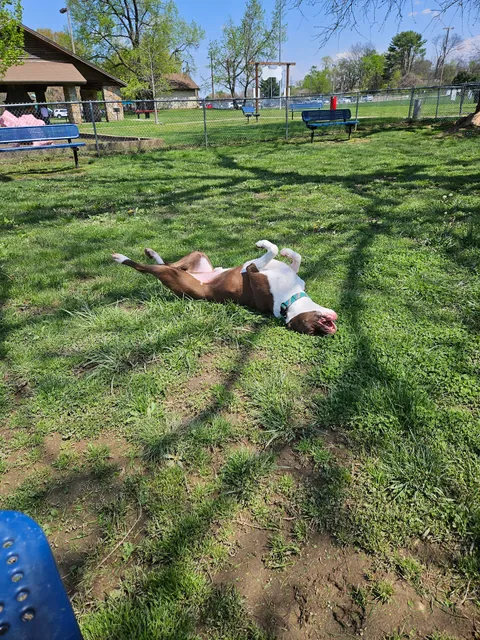 Hendersonville Dog Park