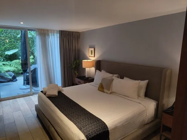 Zamora exclusive by Mr W