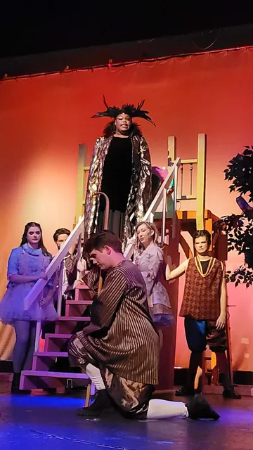 The Theatre Company of BCS