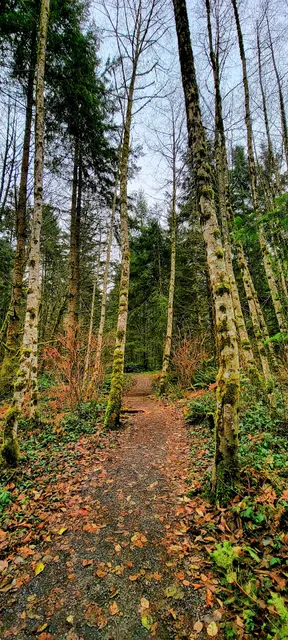 Cougar Mountain Regional Wildland Park