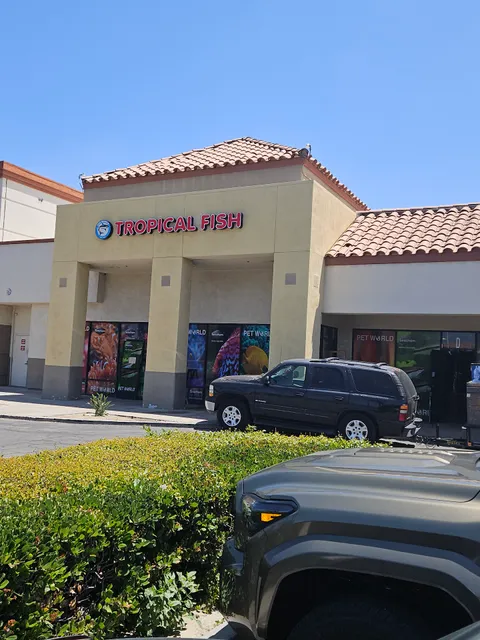 Pet World:Tropical Fish