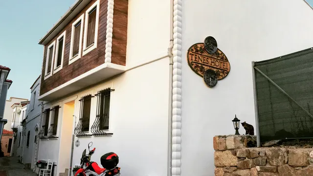 Tenes Otel