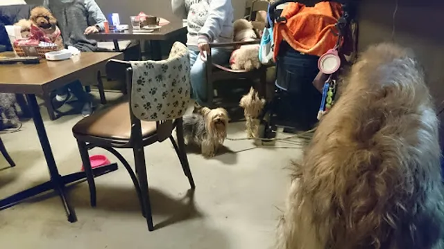 ドッグカフェNANA＆HACHI