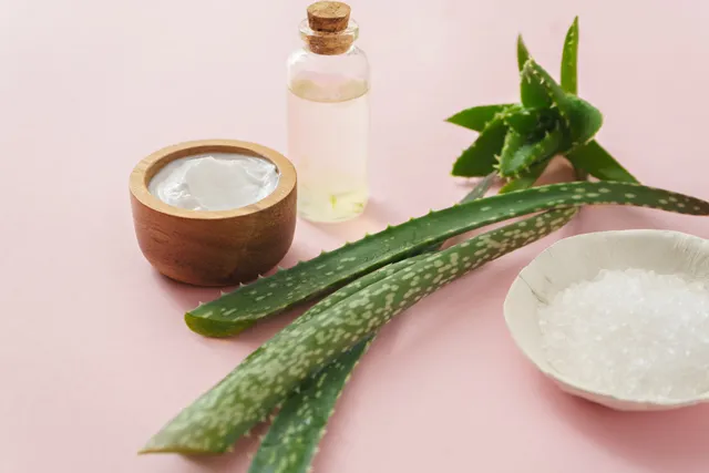 Fruit of the Earth Inc