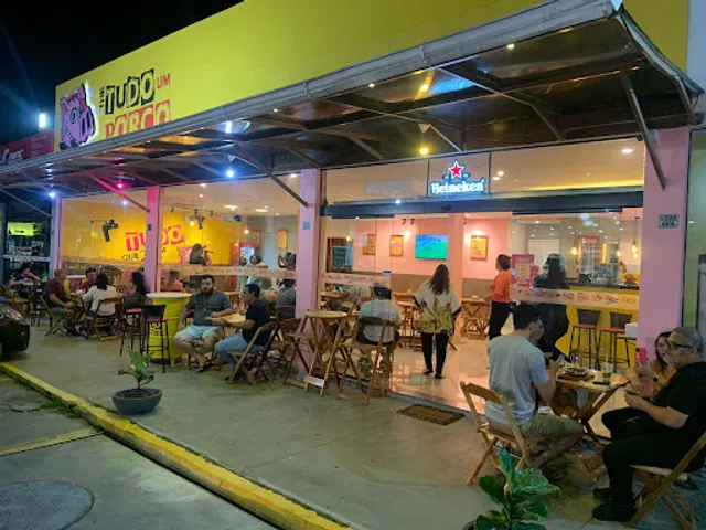 The Tudo Um Porco SG