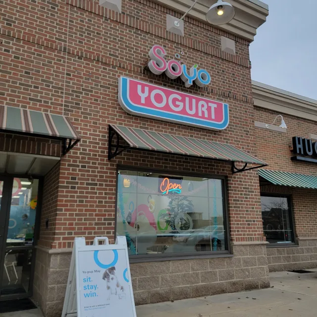 Soyo Yogurt