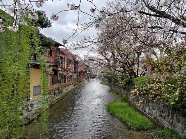 Shirakawa Canal