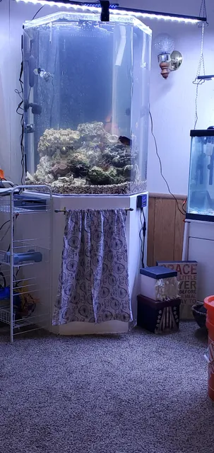 Ruby Mountian Aquarium supply